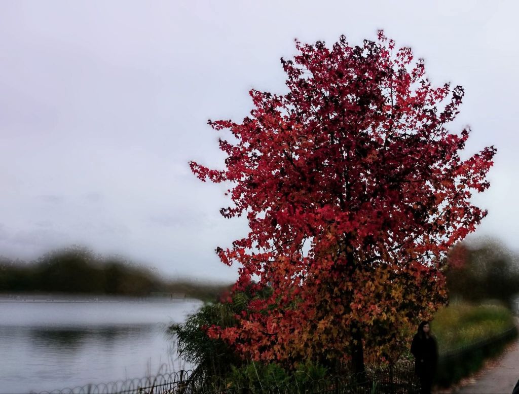 fb_img_17683891489238884617599726129588