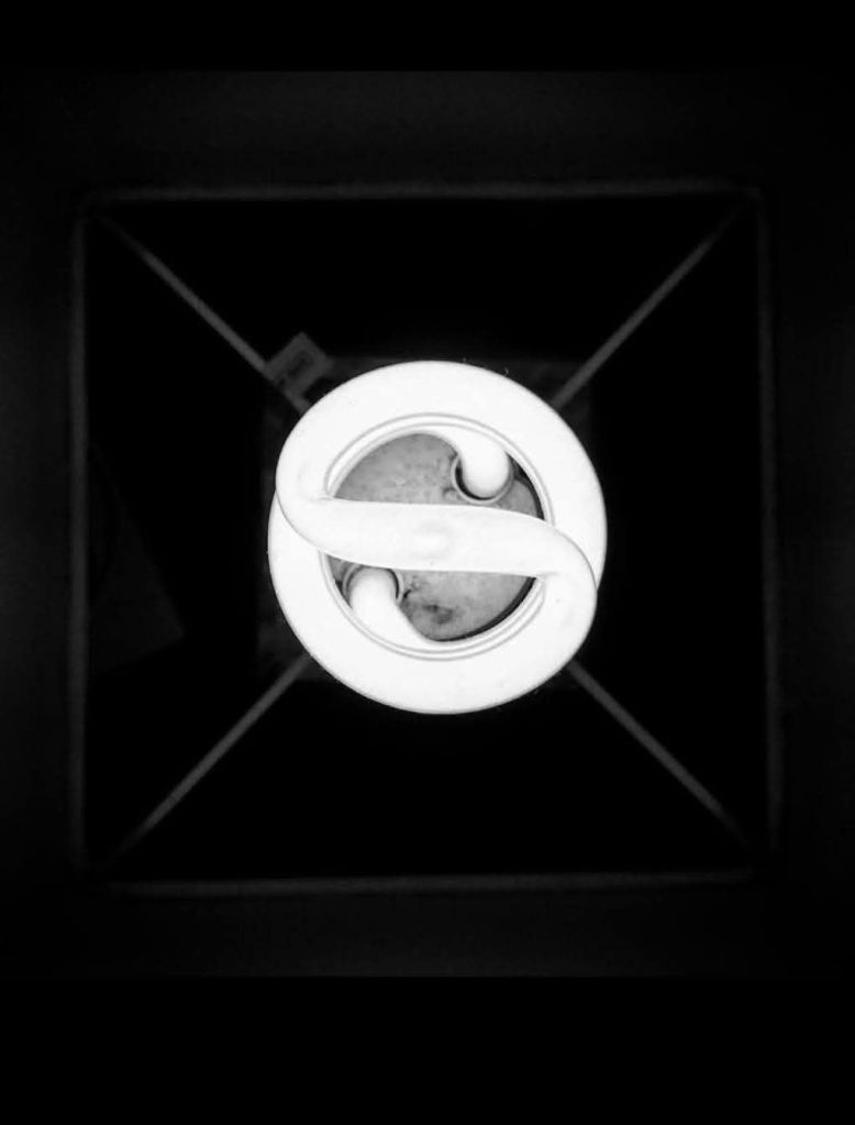 fb_img_17683891695108287758124062613483